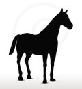 Horse silhouette in standing still position Royalty Free Stock Photo