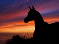 Horse Silhouette Sunset Royalty Free Stock Photo