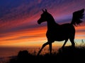 Horse Silhouette Sunset Royalty Free Stock Photo