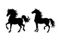 Horse Silhouette Vector Galloping and Standing Stallions Artwork Royalty Free Stock Photo