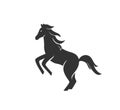 Horse silhouette vector illustration. Black and white stallion logo. Isolated on white background Royalty Free Stock Photo