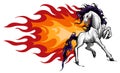 Horse silhouettes with flame tongues. Vector illustration.