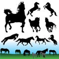 Horse silhouettes set