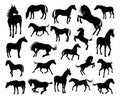 Horse Silhouettes Royalty Free Stock Photo