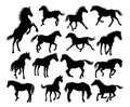 Horse Silhouettes Set Royalty Free Stock Photo