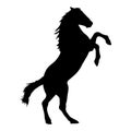 Majestic horse silhouette, horse illustrator Royalty Free Stock Photo