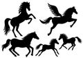 Horse silhouettes, vector Royalty Free Stock Photo