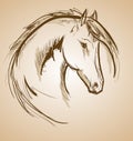 Horse sketch icon. Vector horse waving mane.