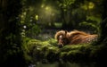 Horse Sleeping Soundly in a Cozy Corner of the Horse