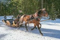 Horse sleigh carriage