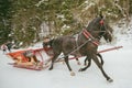 Horse sleigh carriage