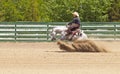 Horse Sliding Stop Royalty Free Stock Photo