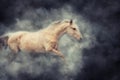 Horse in smoke Royalty Free Stock Photo