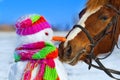 Horse and snowman Royalty Free Stock Photo