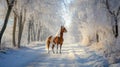 Majestic Brown Horse Standing on Snowy Path in Frosted Winter Forest Royalty Free Stock Photo