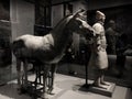 Horse and soldier figures from Qin Shi Huang tomb mausoleum Terracotta Army museum in Xian, China Royalty Free Stock Photo