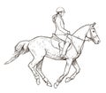 Horse sports illustration, female riding galloping horse hand drawn vector illustration