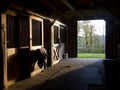 Horse Stable Royalty Free Stock Photo