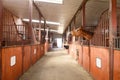 Horse in a stable Royalty Free Stock Photo