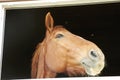 Horse in a stable window in the village Vladykino in Russia