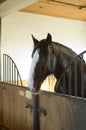 Horse stables Royalty Free Stock Photo