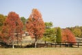 Horse Stables, Fences in Autumn Royalty Free Stock Photo