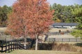 Horse Stables and Horses Royalty Free Stock Photo