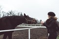 Horse standing behind the fence asking for food Royalty Free Stock Photo