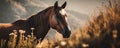 a horse standing in a field of tall grass with mountains in the background and clouds in the sky behind it, with a sunbeam on its Royalty Free Stock Photo