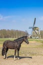 Horse standing in front of the windmill in Oudemolen Royalty Free Stock Photo