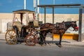 Horse Rides Malta