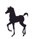 Horse standing, silhouette, vector Royalty Free Stock Photo