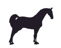 Horse standing, silhouette, vector Royalty Free Stock Photo