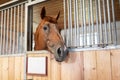 Horse standing in a stall in the modern stable. Royalty Free Stock Photo
