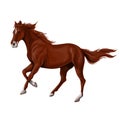 A horse stands, fawn, vector illustration Royalty Free Stock Photo