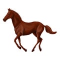 A horse stands, fawn, vector illustration Royalty Free Stock Photo