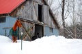 A horse son a snowy farm Royalty Free Stock Photo