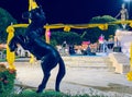 Horse statue at The Phra Nang Cham Devi Monument