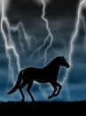 Horse in the storm Royalty Free Stock Photo