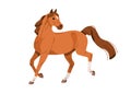 Horse, strong wild stallion, equine animal in action, motion. Racehorse walking, running, going, moving. Beautiful steed