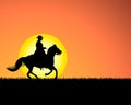 Horse on sunset background Royalty Free Stock Photo