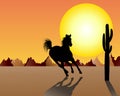 Horse on sunset background Royalty Free Stock Photo