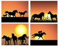 Horse on sunset backgrounds set Royalty Free Stock Photo