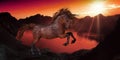 A Horse In The Sunset