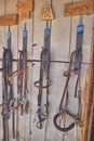 Horse supplies in a tack shed on a ranch