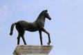 Horse symbol of the little town called CAVALLINO near Venice in Royalty Free Stock Photo