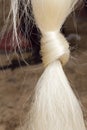 Horse tail Royalty Free Stock Photo