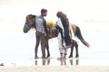 A horse is taking passengers on horseback to Cox's Bazar beach