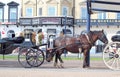 Horse taxi carriages in Great Yarmouth.