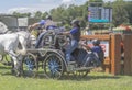 Horse team at a competition in nature